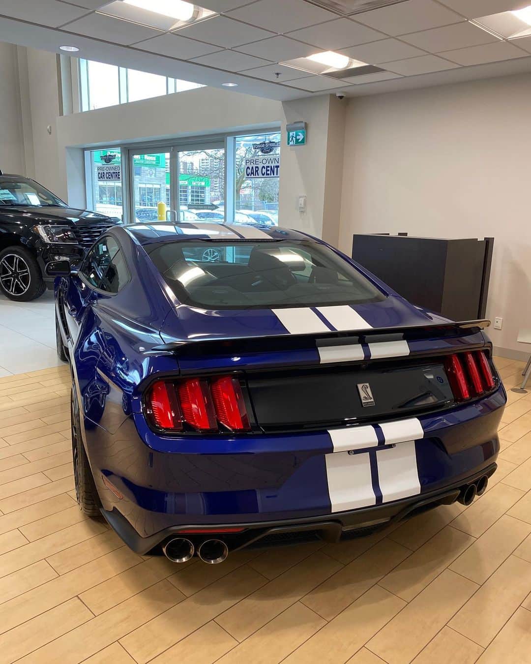 CarsWithoutLimitsさんのインスタグラム写真 - (CarsWithoutLimitsInstagram)「2016 Mustang GT350 Track package • 880KM • $61,888 CAD Contact @roy.cwl for more info  #carswithoutlimits #gt350」3月15日 5時41分 - carswithoutlimits