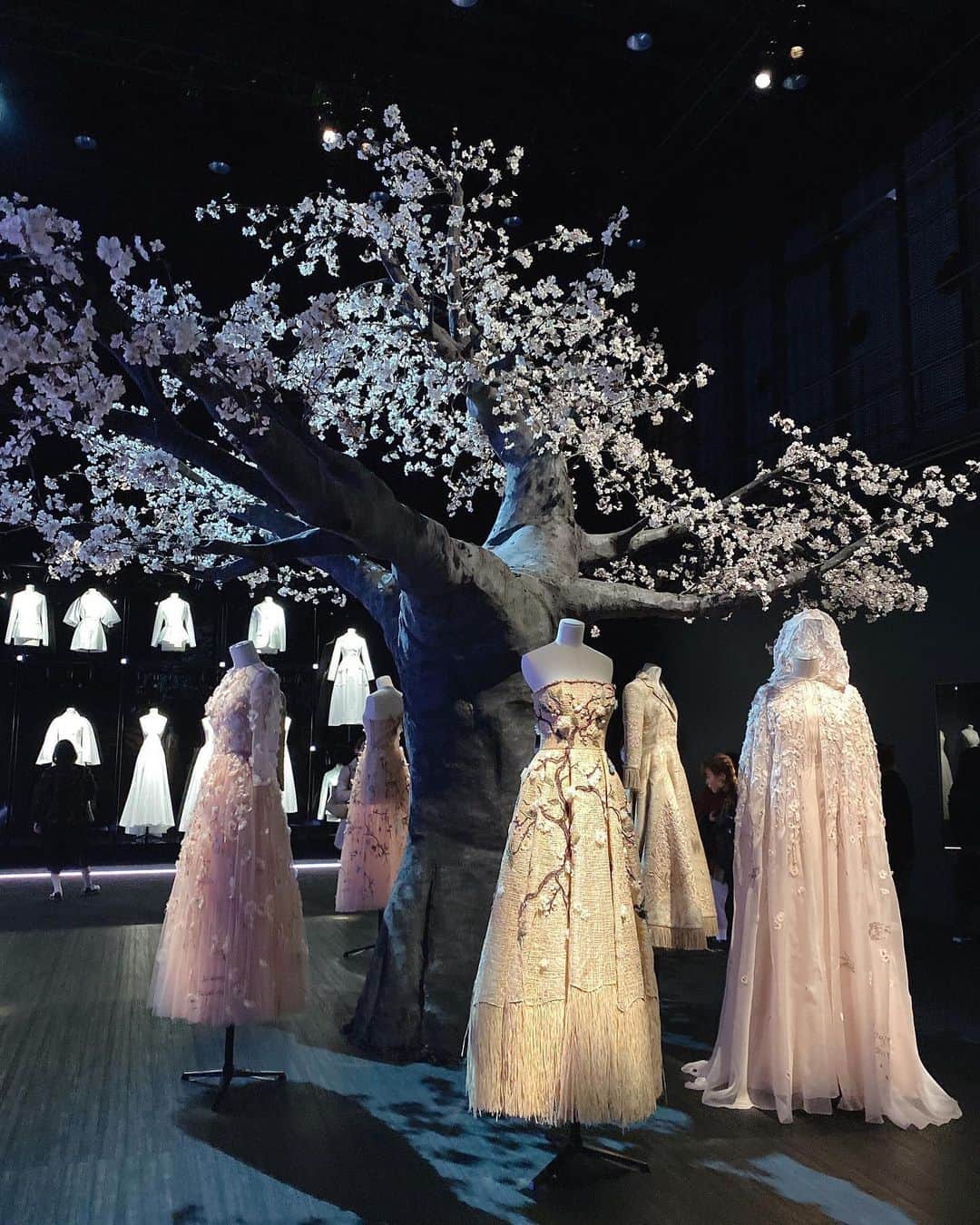 きたかぜあすかさんのインスタグラム写真 - (きたかぜあすかInstagram)「ㅤㅤㅤㅤㅤㅤㅤㅤㅤㅤㅤㅤㅤ ㅤㅤㅤㅤㅤㅤㅤㅤㅤㅤㅤㅤㅤ 𝐟𝐫𝐨𝐦 𝐏𝐚𝐫𝐢𝐬 𝐭𝐨 𝐣𝐚𝐩𝐚𝐧  Dior展 ㅤㅤㅤㅤㅤㅤㅤㅤㅤㅤㅤㅤㅤ 素敵空間だった、、♡♡ ㅤㅤㅤㅤㅤㅤㅤㅤㅤㅤㅤㅤㅤ #dior展」3月15日 18時45分 - asukaa02
