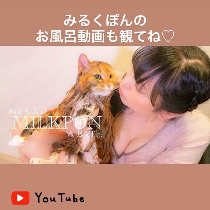 脊山麻理子のインスタグラム