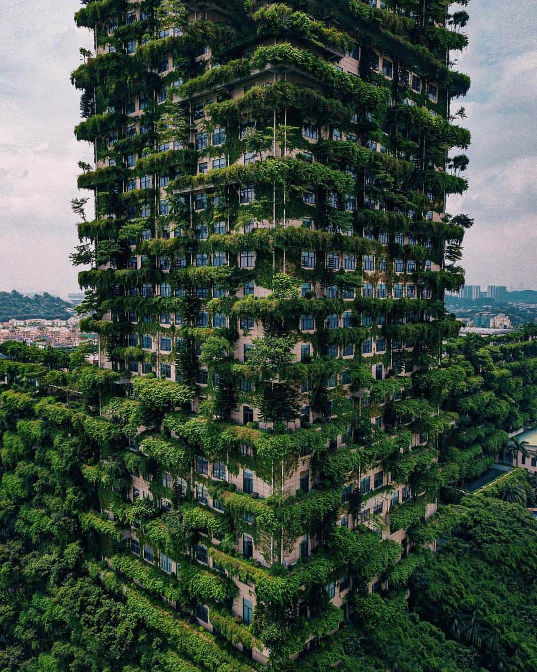 Discover Earthさんのインスタグラム写真 - (Discover EarthInstagram)「A vertical forest in Foshan, China. 🌲🌳 This building is fortified with lush vegetation that fights air pollution by absorbing carbon dioxide and producing oxygen  Photo by @5.12」3月15日 17時22分 - discoverearth