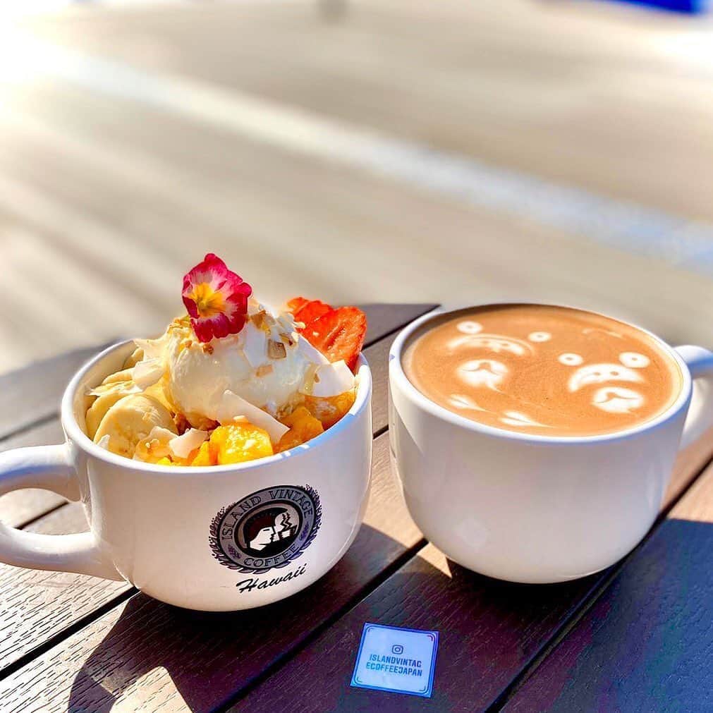 のインスタグラム：「[お店情報] ハワイでも大人気のアイランドビンテージコーヒーでは、季節限定メニューの「ハウピアモアナボウル」がおすすめです💜  #repost @islandvintagecoffeejapan ・・・ ALOHA 🤙﻿ いよいよ暖かい日が続いて春らしい陽気になってきましたね🌸﻿ ポカポカの日には季節限定のハウピアモアナボウルがおすすめです！ココナッツアイスとパパイヤで南国を感じながらハワイ気分を味わえます！🥥﻿ MAHALO🌴﻿ ﻿ #islandvintagecoffee ﻿ #islandvintagecoffeejapan #hawaii #acai #acaibowl #aloha #kona #kau #ginger #omotesandou #yokohama #odaiba ﻿ #アイランドヴィンテージコーヒー #ハワイ ﻿ #アサイーボウル #コナコーヒー #アロハ ﻿ #ハワイアンカフェ #表参道カフェ #横浜カフェ #横浜ベイクォーター #お台場カフェ #デックス東京ビーチ#ハウピアモアナボウル #haupiamoanabowl #ココナッツ#coconut #春」