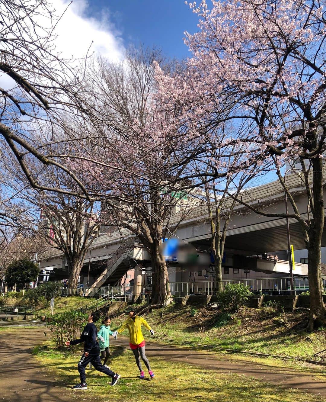 AYUMIさんのインスタグラム写真 - (AYUMIInstagram)「桜が咲きはじめていました🌸 走ったり、歩いたり、ランチしたりしながら ランニング＆ウォークでのお出かけ🍀 子どもたちの走りにはまったく ついていけないけれど😅 車でも自転車でもない〝おでかけ‘’も 気持ちよくて、楽しいな♪ こんなご時世だから、こんな時間も 大切にしたいです . . #春めく #桜🌸 #ランニング #ウォーキング #お散歩 #おでかけ #いいお天気 #AYUMIアウトドア #今日という日にも感謝して」3月15日 18時32分 - ayumiayunco
