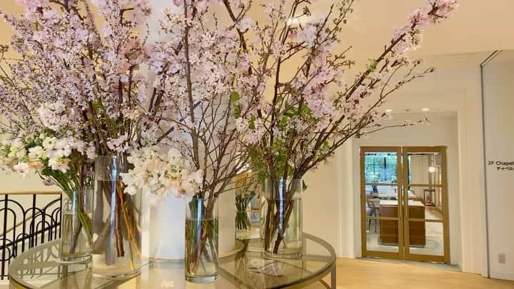 メゾン・プルミエール アット ロビンズのグルメインスタ