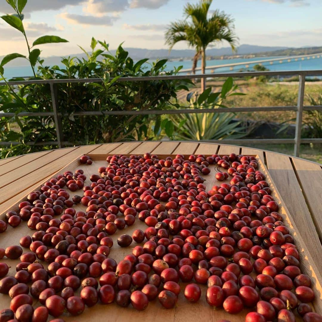 ONE SUITE Hotel & Resort（公式）のインスタグラム