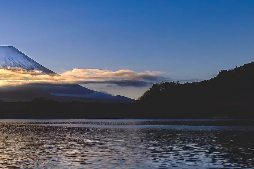 田村幸士さんのインスタグラム写真 - (田村幸士Instagram)「japan blue🗻 #mtfujijapan」3月15日 10時30分 - kojimg