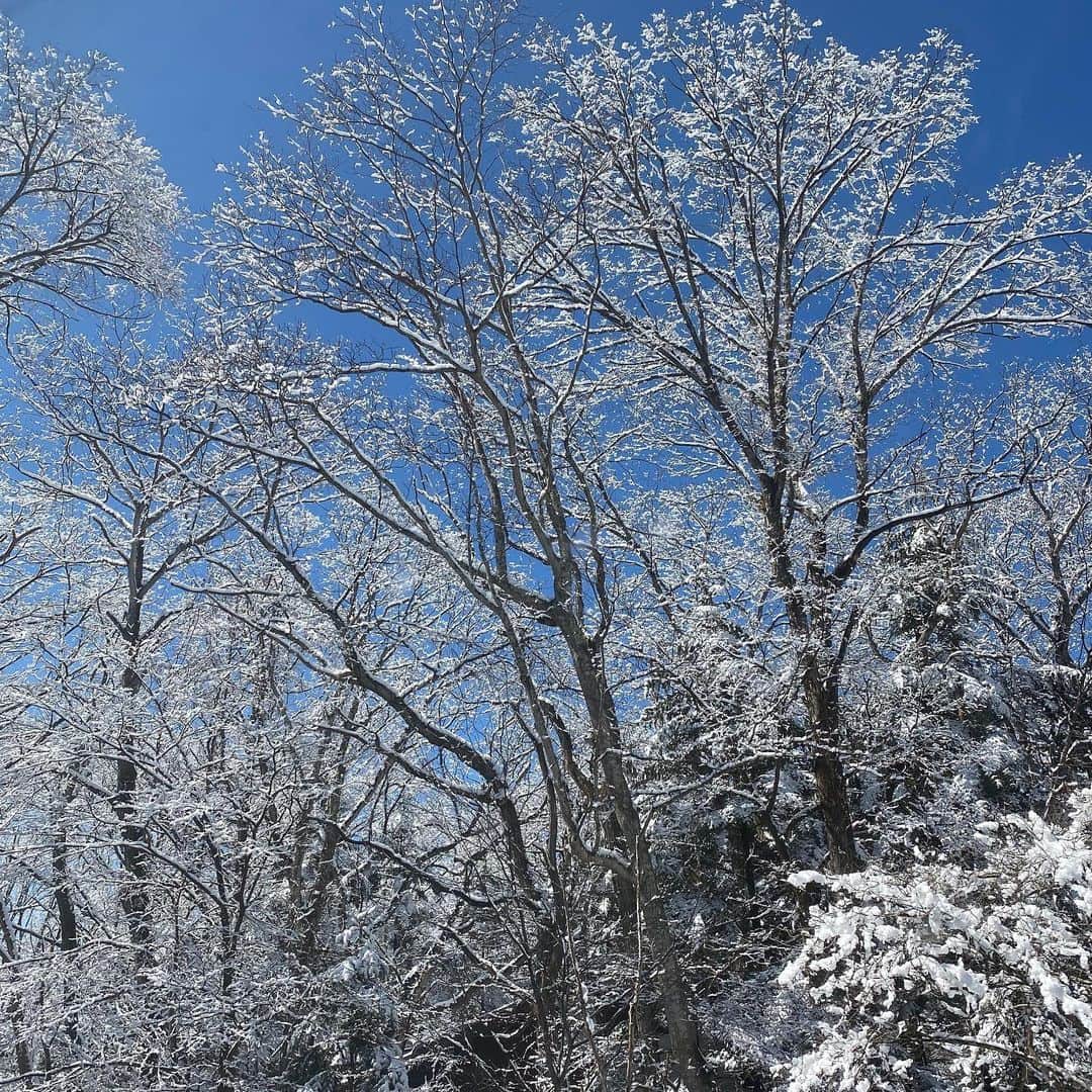 野間美由紀さんのインスタグラム写真 - (野間美由紀Instagram)「雪の翌日に晴れるとホント綺麗❄️」3月15日 11時12分 - rose_m