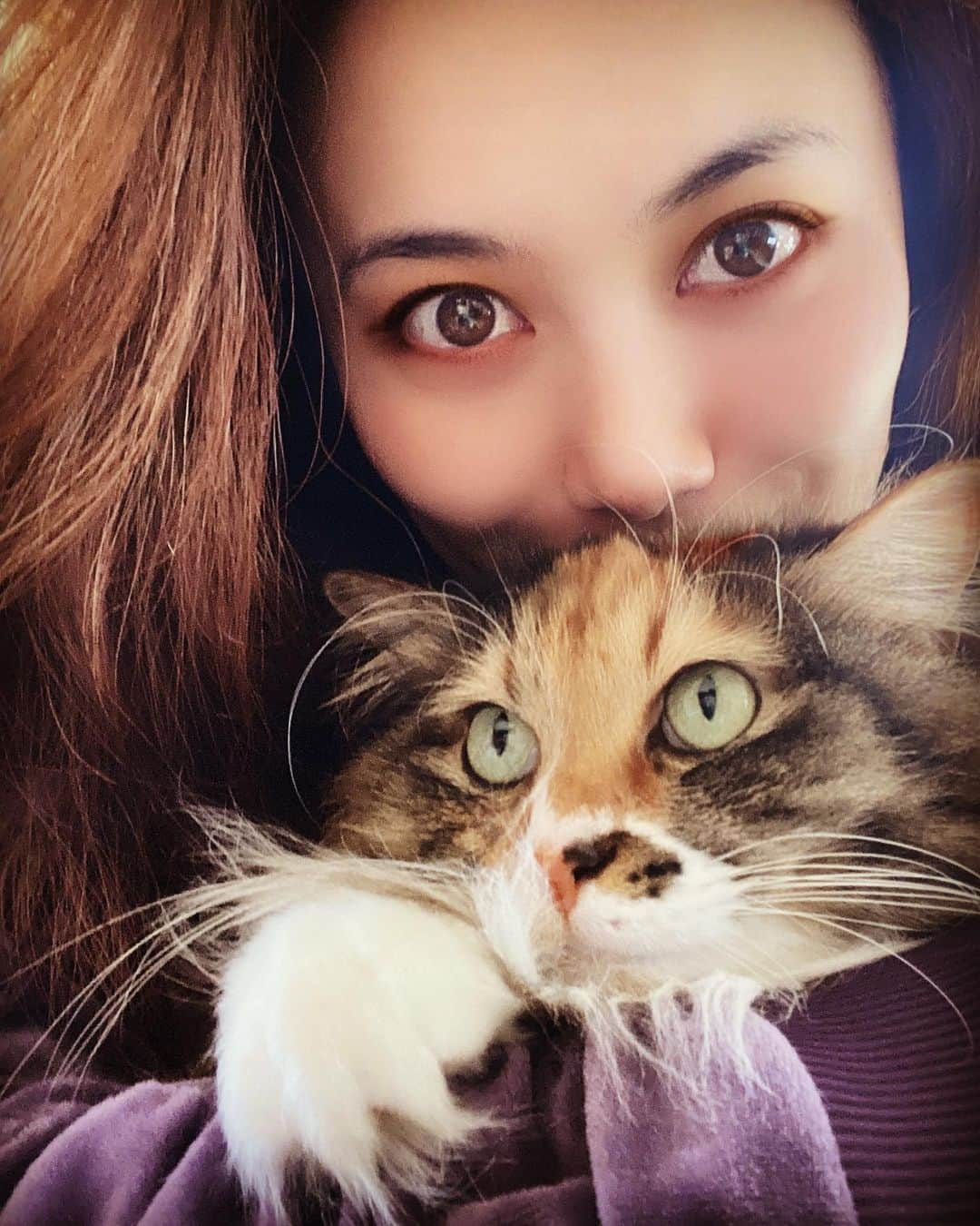 富永沙織さんのインスタグラム写真 - (富永沙織Instagram)「Relationship with “MEI”😆✨ ・ #catandme  #猫と私  #catstagram  #mycatlove  #mycats  #whiskerwednesday  #猫大好き  #女優  #妹  #mysister❤  #癒し猫  #サイベリアン  #siberian  #サイベリアンフォレストキャット  #仲良し家族」3月15日 11時31分 - saori_tominaga