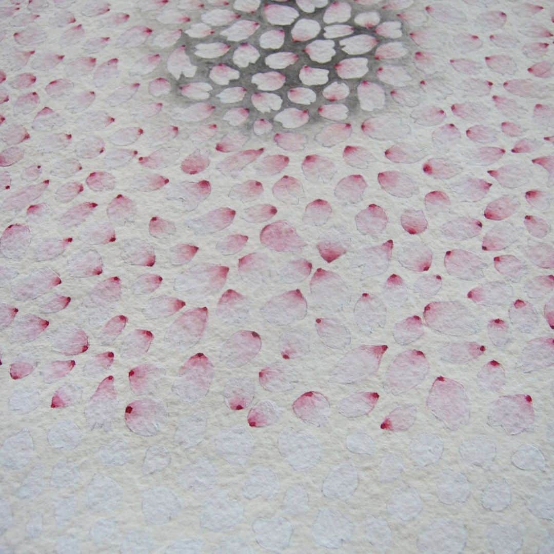 下條ユリさんのインスタグラム写真 - (下條ユリInstagram)「（日本語は↓) ・ More about Sakura piece. You may think I painted cherry blossom petals over gray circle background, but in fact I started to paint petals first, and kept painting just petals and more petals, then I carefully placed gray, the light sumi (black) ink around petals. It’s not practical at all but it was important ritualistic process to wrap around the each petals one by one because I wanted to dedicate the act of doing so for blessing each spirits. ( see work in progress photos ) ・ The light sumi color represents sorrow and condolence in Japanese tradition.  For the special light sumi tone in the center of Sakura, I used an ink stick I found in my late mother’s calligraphy set. The ink stick was rubbed down to the diagonal shape. When I rubbed her oddly shaped used ink stick, I felt her habit of handling ink stick was transmitted through my hand. It was very strange and emotional feeling. ・ March is a special month for me because the day after Earthquake, March 12th is my mother's birthday, the 19th is my father’s memorial and in between the 16th is my birthday.  It was the ninth year since Japan’s Great Earthquake and Tsunami this year. I heard number of huge rainbows appeared all over the affected area in Tohoku when people gathered for the memorial ceremony. Such an unexplainable phenomena of serendipity assured us of the closeness between this side and the other side. Magnificent job ! 🙏🏽🌈 ・ また桜の絵の話です。 まん中の薄墨色の丸は、桜の花びらを描く前にまずバックグラウンドとして描いておいたのではと思われがちですが、薄墨色の部分は後から描きました。前文でも少し書きましたように、はじめからああいう絵を描こうとしていたわけではなく、ただひたすらに花びらだけを描いていたので、そんな効率の良い手順ではなかったのです。そして薄墨色で花びらを一枚一枚丁寧に囲む行為に、供養のような意味を捧げたかったのです。  薄墨はかなしみとお悔やみの心を現します。この時に使った墨は、亡き母の硯箱に入っていた古梅園のお花墨でした。やけに斜めに減っている使いかけの墨を磨ってみて、母の癖がわたしの手を通して伝わってきたのはなんとも言えない妙にリアルな感覚でした。  震災の翌日3月12日は母の誕生日、自分の誕生日が16日で、19日は父の命日。亡き家族のことをよく思い出す3月は昔から特別な月です。 震災から9年目の今年、東北のあちこちに大きな虹の橋が架かったといいます。あちら側の人たちがこちら側の人たちへ、いつも近くにいることを改めて確認させてくれたのでしょうか。すごいことするな。 合掌 ・ ・ First 🌸 📸 by @makikaoru  #YuriShimojoMementoMori  #下條ユリメメントモリ  #yurishimojo_watercolors  #Sakura #古梅園」3月15日 12時03分 - yurishimojo