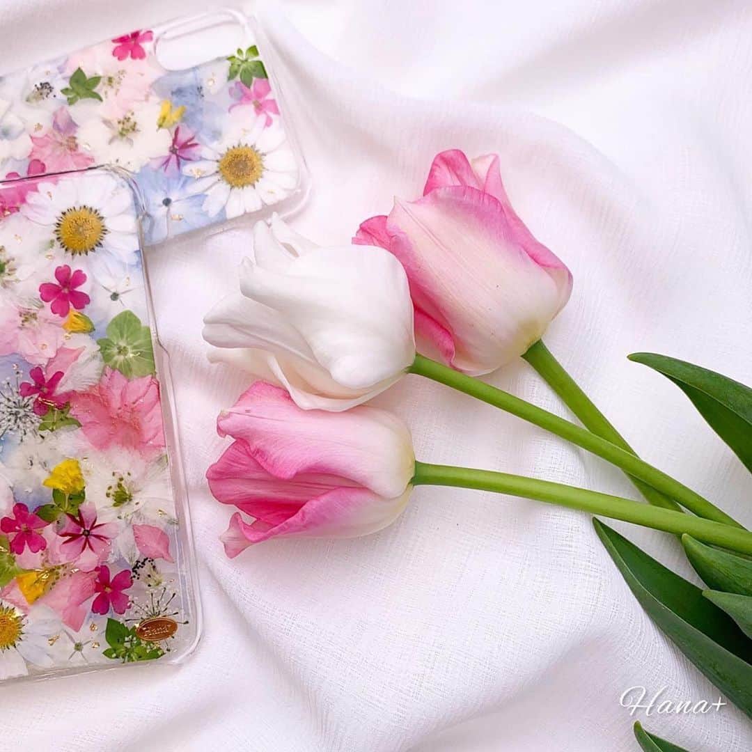 タピエスタイルのグルメインスタ