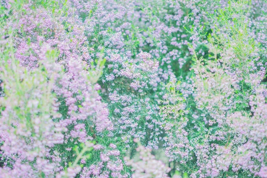 奥野香耶のインスタグラム