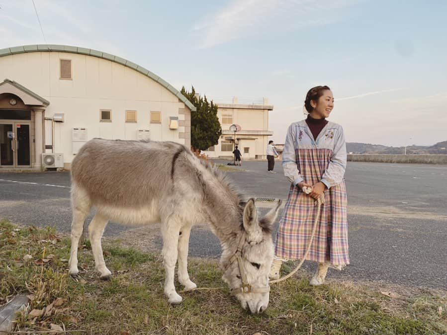 松本野々歩のインスタグラム：「小さい頃から ロバが人間と暮らし、働いている国を 旅してきた松本家  月日は経ち、また訪れると ロバからトラクターに変わっている  豊かな暮らしになったと　喜ぶ人たち  勝手に なんともやりきれない気持ちになる いや　ほんとに勝手だよね  便利になるのと引き換えに 無くなっていく景色や時間　習慣や文化  震災から9年  ロバのロロと 突然ロバと暮らすことになった友に会いに　 岡山県へ行くことにした  道中　街並みを眺めながら 色々思う  今わたしたちは　 便利な世の中にするために 色々な物を失っているんだろうなぁ　と  ロバと友と過ごした 帰り道  馨さんもさっき書いてたけど 飼い主たちは今もこれからも 楽しいことばかりじゃなくって　大変なこともたくさんあると思うけれど  わたしが思う　豊かな暮らしに 少し触れさせてもらう  東京にこの気持ちを持ち帰って 創作の糧にして そしてまた全国を　世界を 歌って旅して いろんな人に出逢いたい  そして もちろんまた　 愛しのロバのロロと友が住む この町にも帰ってきたいな  さて本題 わたしもすっかり虜になってしまったその場所で 歌ってきました  YouTubeにあげたので 観てもらえたら嬉しいです ・ ・・・・・・・・・・・ ・・・・ ・ 皆さん、いかがお過ごしですか？ 不安なこと、不満なこと、心がぎゅっとなってしまうのも無理はありませんね。  チリンとドロンも、公演が延期や中止になってしまい、たくさんの子どもたちの笑顔や歌声が聴けない日々、とても悲しいです。  何かしたい！とうずうずしていましたが、おうちの中にいる方も多いと思ったので、気持ちのいい空気をお届けしたい思い、3月11日、思い切ってびゅーんと岡山県瀬戸内市にある牛窓という町へ。  ロバのロロの協力もあって、とってもあったかい〜映像が撮れました。（ゆる〜いのもお愛嬌！笑）  ぜひごらんください。 （チャンネル登録もよかったらぜひ♪） チリンとドロンより  https://www.youtube.com/playlist?list=PLlUlWAXtrpObCoMW-pqxRvEBAVO9XOudq」
