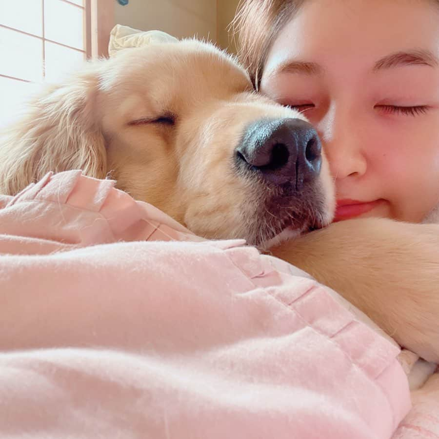 今田美奈さんのインスタグラム写真 - (今田美奈Instagram)「🐶😌☀️🧡 ぽかぽか日曜日 お散歩もしてブラッシングしてぼーっと。 私が家で色々なことをバタバタしてても、 お昼もスヤスヤ眠るベイくん😪 見つめているとついつい、つられて眠くなるわたし😴 . #犬のいる暮らし#ゴールデンレトリバー #goldenretriever#dogstagram #골든리트리버」3月15日 13時30分 - _minaimd.j_