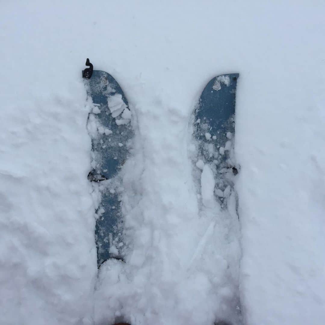 上田ユキエさんのインスタグラム写真 - (上田ユキエInstagram)「雪降ってるのにスキー場クローズしたから、ローカル達はやたらスプリットボード探してる（笑）私も出そう 👍❤️　#splitboarding #splitboard #k2snowboarding @k2.snowboarding」3月15日 13時33分 - yukie_ueda