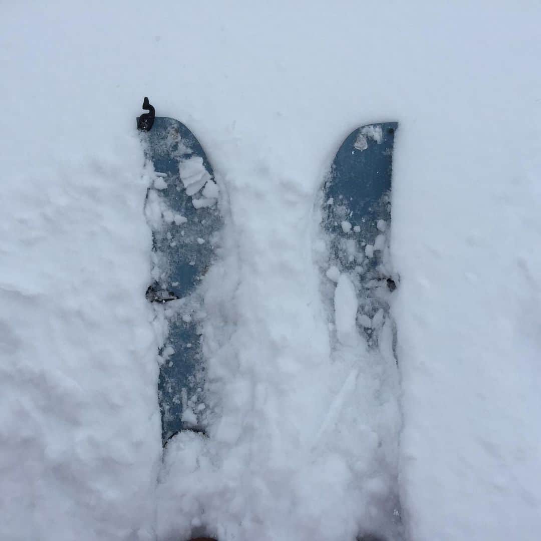 のインスタグラム：「雪降ってるのにスキー場クローズしたから、ローカル達はやたらスプリットボード探してる（笑）私も出そう 👍❤️　#splitboarding #splitboard #k2snowboarding @k2.snowboarding」
