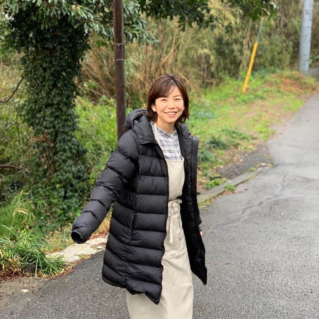野村麻純のインスタグラム：「🌳🕊🍃」