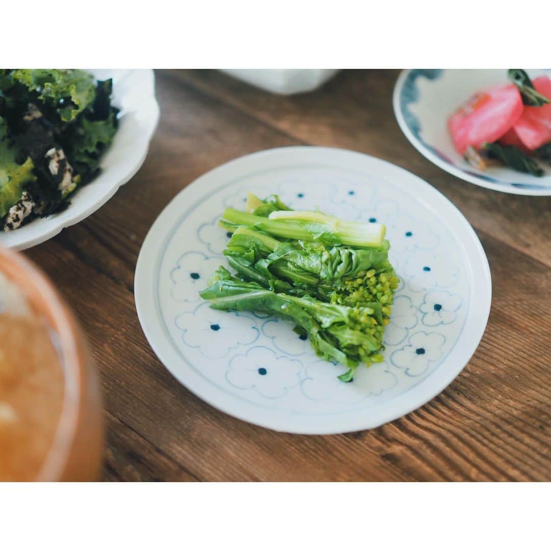 高山都さんのインスタグラム写真 - (高山都Instagram)「洒落たブランチでも作るかと思ったけど、身体が欲したのは、じんわり優しい味。 簡単でも、丁寧に作ると、やっぱり美味しい。 春キャベツと揚げの味噌汁 しっとりニンジン明太 菜の花の魚醤おひたし ケールとオツナと海苔のサラダ (燻製オイルで和えた) #江頭さんの玄米 焼き鮭 うつわは江戸時代の古伊万里と、 @bunshogama さんの白磁。 #みやれゴハン　#おうちごはん」3月15日 13時51分 - miyare38