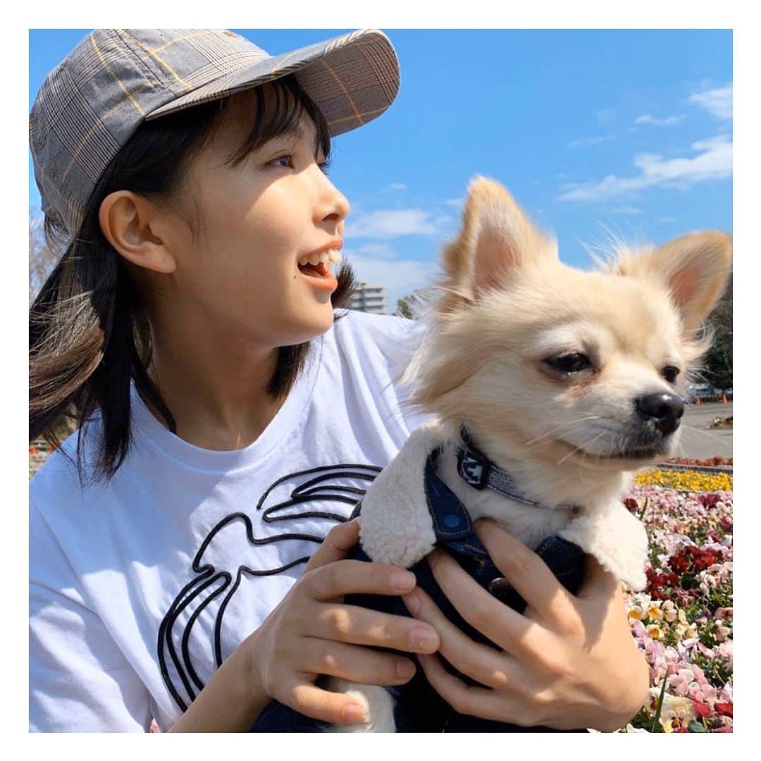 寺本莉緒さんのインスタグラム写真 - (寺本莉緒Instagram)「. ラクとドッグラン🐶 . 犬嫌いなラクは吠えまくっていたけど、たくさん遊んできた🌼 . #ドッグラン」3月15日 14時30分 - lespros_rio