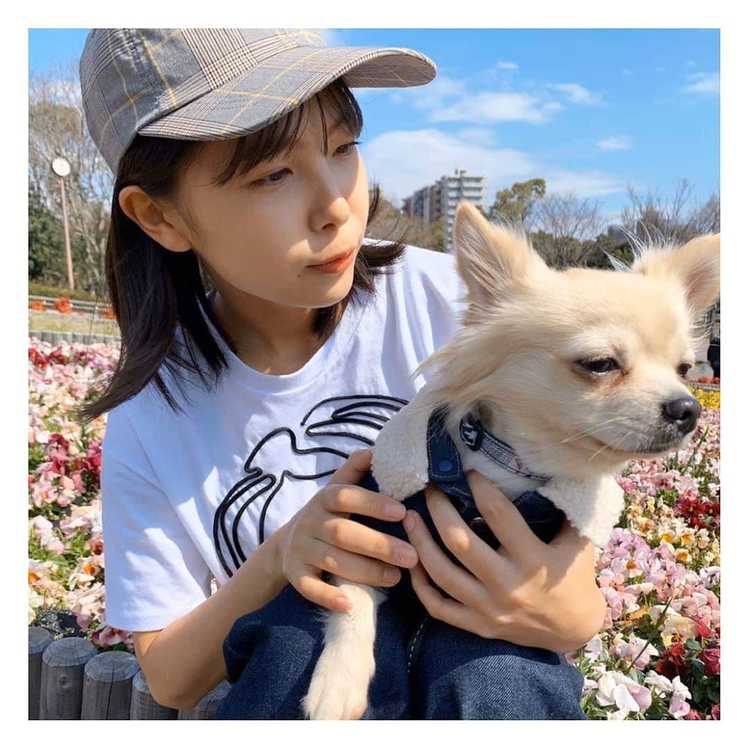 寺本莉緒さんのインスタグラム写真 - (寺本莉緒Instagram)「. ラクとドッグラン🐶 . 犬嫌いなラクは吠えまくっていたけど、たくさん遊んできた🌼 . #ドッグラン」3月15日 14時30分 - lespros_rio