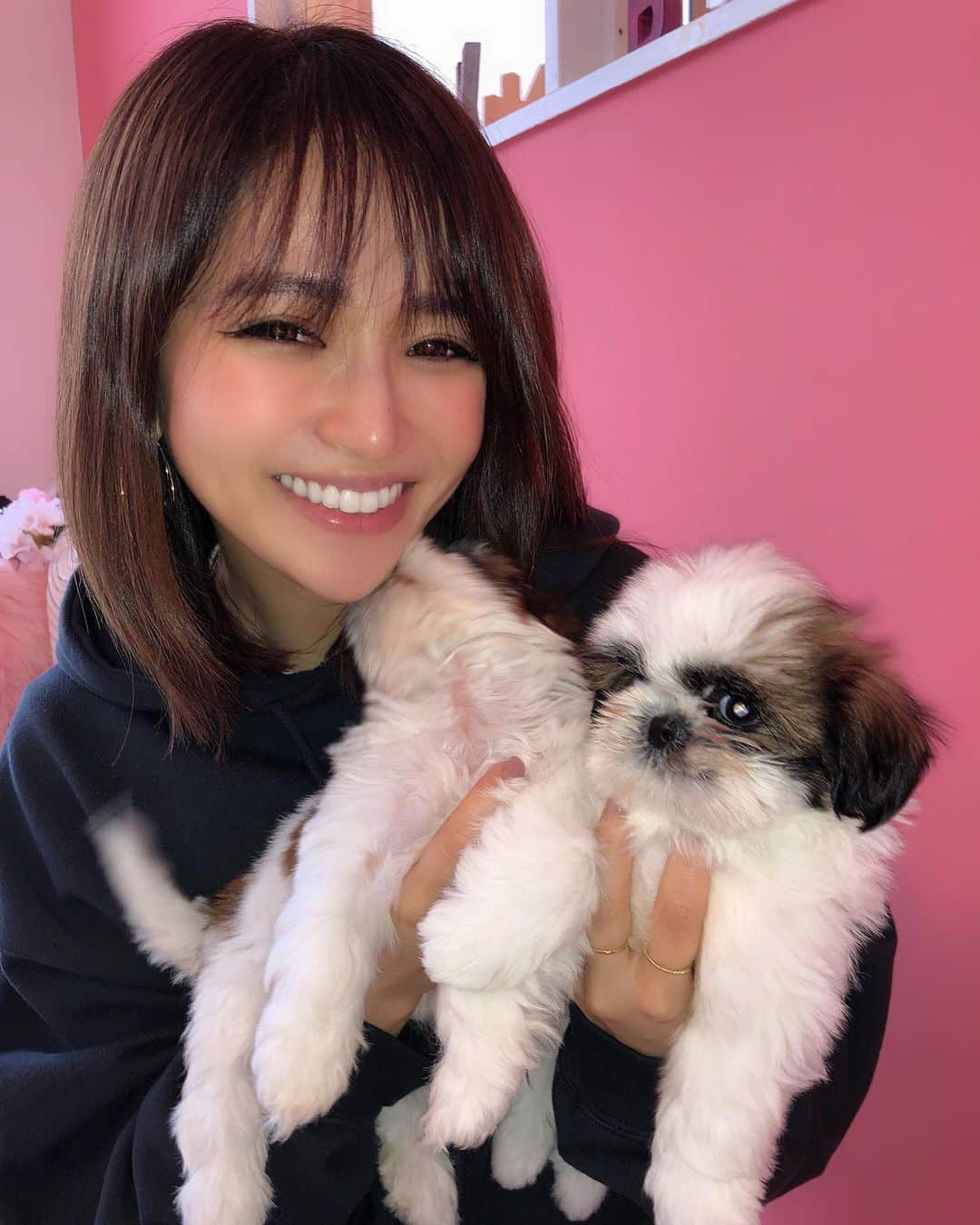 平沼ファナさんのインスタグラム写真 - (平沼ファナInstagram)「保護犬べいびー🐶 この子たちは生まれつき足が悪いからゴミ箱に捨てられてしまったんだって . . 何か自分の出来ることで役に立てることないかなぁ？って 前からちょくちょくネットで検索して 保護犬団体にタオルとか毛布、ワンちゃん用のベットとか送ったりしてて  今回 @petsalon_pinkbeach @dogrescue_anella の方と知り合うことが出来て 実際にワンちゃんたちに会いに行ってお手伝いしに行ってきたの  少し前に寄付したトイレトレーとかおむつを使ってくれてる子たちがいて 使ってくれてるー✨すごく嬉しくなった☺️☺️❤️ . その様子はまた詳しく違う日に投稿するね！ 気になるでしょー お楽しみにしててください🙇‍♀️✨ . . @petsalon_pinkbeach はドッグランもサロンもついてるし 自分ちの愛犬ちゃんと遊びに行って一緒に遊んであげたり ここで売ってるお菓子を買うだけでも保護犬募金ができるよ♡ . #今日は日曜日 #今日も平和に🕊 #愛を持って」3月15日 15時22分 - yoon_phana