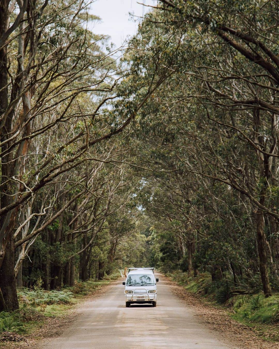 SNAPCHAT@JASONVANMIERTのインスタグラム：「#Sponsored On the road around @Australia with @tomtomdrivers, if you’ve been using your phone to navigate around but you’d like a dedicated device then check out the new TomTom Go Supreme Sat Nav, it sticks to navigation and it does this one thing really well - link in bio ☝️ #RoadTripsbyTomTom #TomTomDrivers #MyOzMyRoadtrip」