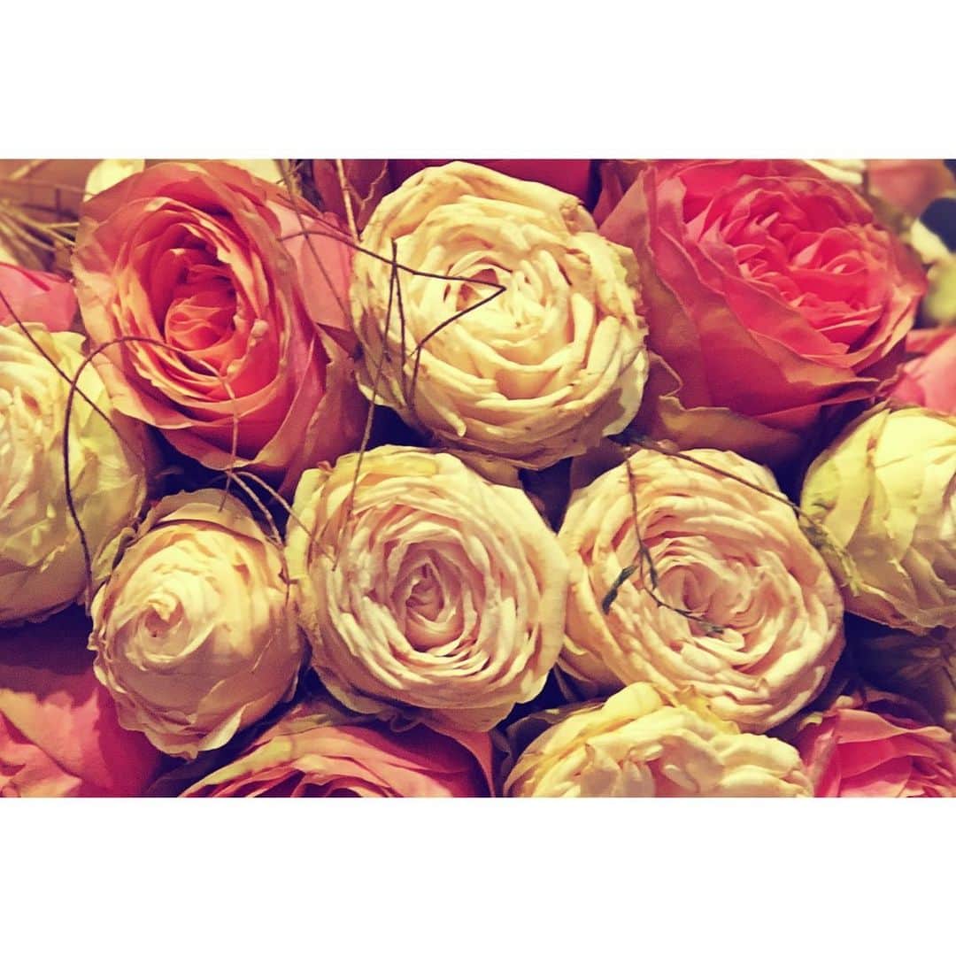 ディーピカー・パードゥコーンさんのインスタグラム写真 - (ディーピカー・パードゥコーンInstagram)「high time!ain’t it!?😝 #flower #flowerpower #flowerstagram」3月15日 15時50分 - deepikapadukone