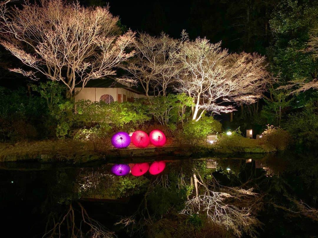 豊大槻さんのインスタグラム写真 - (豊大槻Instagram)「#kyoto  #garden  #京都  #夜景  #庭園」3月15日 16時48分 - yutakachi