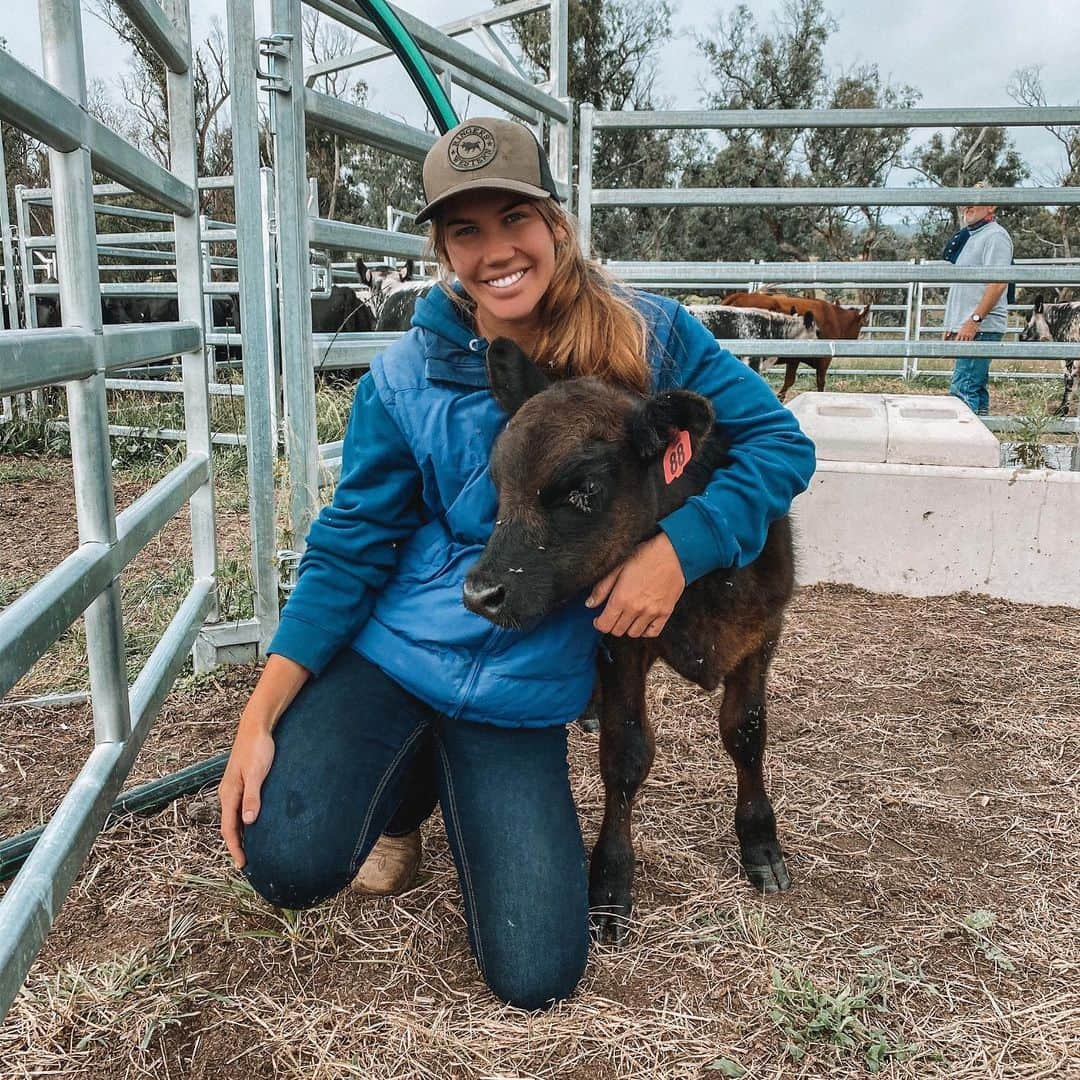 シャルロッテ・キャスリックさんのインスタグラム写真 - (シャルロッテ・キャスリックInstagram)「Barney updates 🐮」3月15日 16時50分 - charlottecaslick