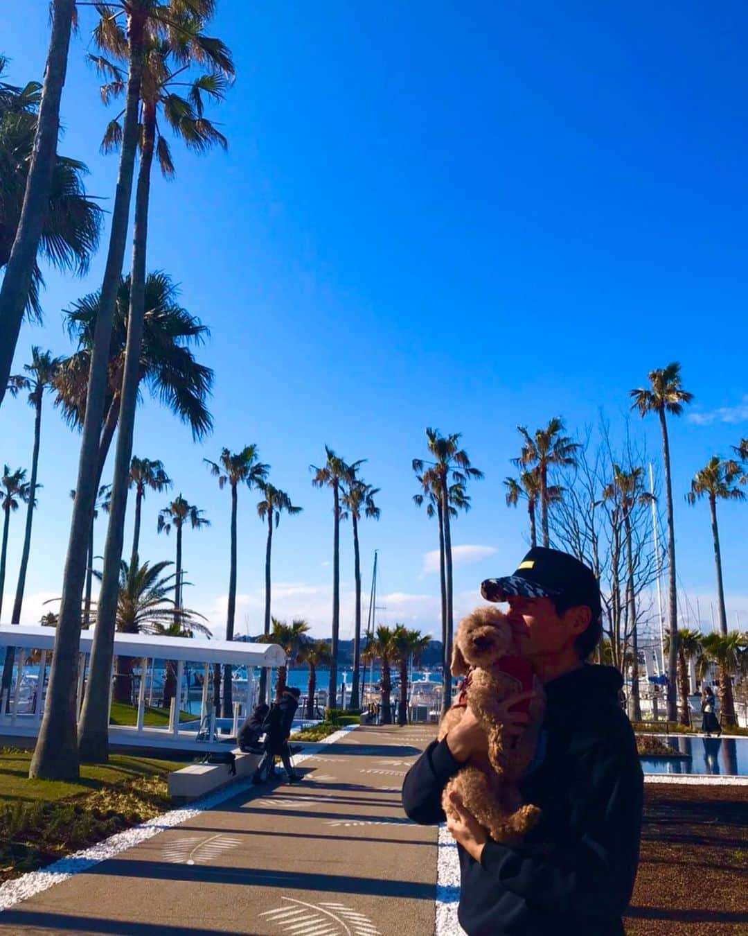 マイケル富岡のインスタグラム：「癒し…海…モコ散歩 #愛犬 #愛犬家 #海 #癒し #リゾート #サーフィン #マリーナ #resort #chilling #love #mybaby #nature #ocean #beach #malibuhotel #maribufarm #ronherman #surfing #pwc #marina #actorslife #actor #shooting #マイケル富岡 #タレント #俳優 #撮影 #idcmarjun #過去ピク」