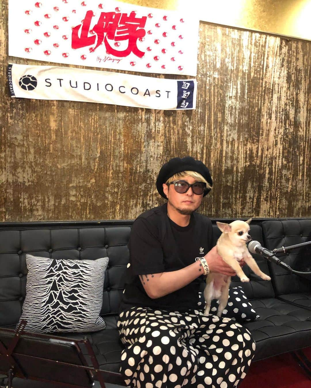 橋本塁さんのインスタグラム写真 - (橋本塁Instagram)「これからコーストにて インスタライブ配信スタートします♩  #サウシュー　#ポルカ　#スタジオコースト　#soundshooter #山岡家　#allaround」3月15日 19時03分 - ruihashimoto