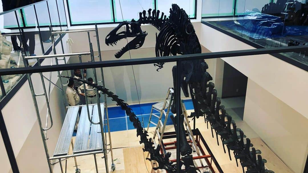 【公式】東京コミュニケーションアート専門学校ECOさんのインスタグラム写真 - (【公式】東京コミュニケーションアート専門学校ECOInstagram)「ECOの「恐竜校舎」が完成間近です🦖 アクロカントサウルスの骨格標本が運び込まれてきました‼️ #東京コミュニケーションアート専門学校eco #tca #tcaeco #動物 #専門学校 #恐竜 #博物館 #新専攻 #進路 #アクロカントサウルス #骨格標本」3月15日 19時05分 - tca_eco