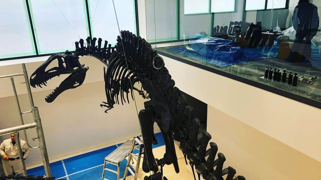 【公式】東京コミュニケーションアート専門学校ECOさんのインスタグラム写真 - (【公式】東京コミュニケーションアート専門学校ECOInstagram)「ECOの「恐竜校舎」が完成間近です🦖 アクロカントサウルスの骨格標本が運び込まれてきました‼️ #東京コミュニケーションアート専門学校eco #tca #tcaeco #動物 #専門学校 #恐竜 #博物館 #新専攻 #進路 #アクロカントサウルス #骨格標本」3月15日 19時05分 - tca_eco