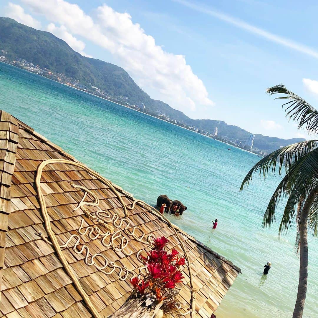 t_ppyのインスタグラム：「#🐘 上から見たときめちゃくちゃ綺麗なビーチだったけど、、、」