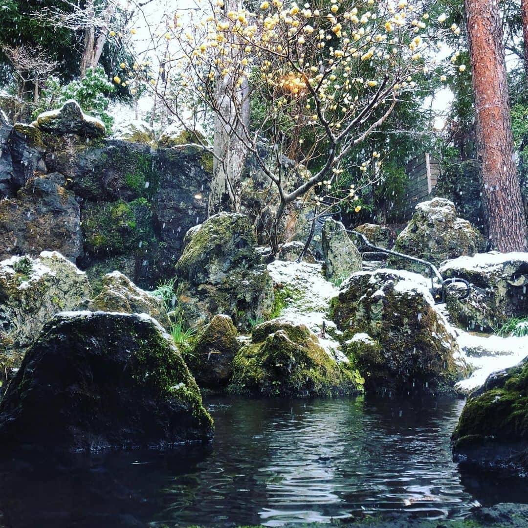 池澤あやかのグルメインスタ