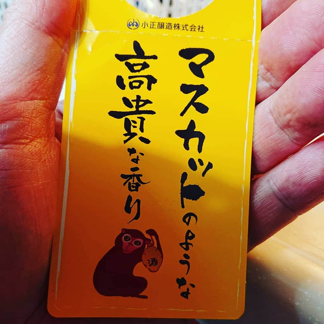 置鮎龍太郎さんのインスタグラム写真 - (置鮎龍太郎Instagram)「こんなお酒があったので、お土産に持ってきました♪  #黄猿」3月15日 19時44分 - chikichikiko