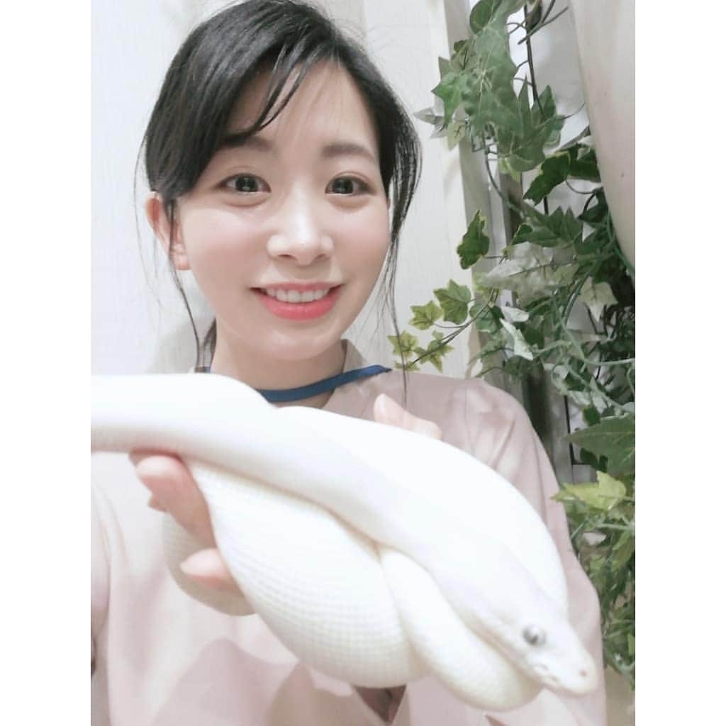 服部彩加のインスタグラム