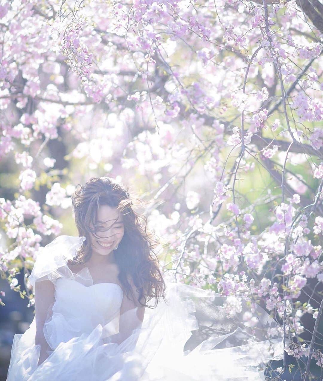 Choole 業界初、オンライン結婚式準備サービスさんのインスタグラム写真 - (Choole 業界初、オンライン結婚式準備サービスInstagram)「#ウェディングフォト﻿ 新郎新婦様の素敵な一瞬を切り取った﻿ ウェディングフォトをご紹介✨📸﻿ ﻿ 桜の季節が近づいてきましたね🌸﻿ 四季があるからこそ撮影できる、﻿ 日本ならではの美しさを感じさせる﻿ 特別なロケーションが魅力的💕﻿ ﻿ 結婚式当日とは別に、﻿ 四季を感じるスポットでの撮影を﻿ してみてはいかがでしょうか？😊﻿ ﻿ photo  by @laviefactory  他の投稿も素敵なものばかりですので、﻿ ぜひチェックしてみてください﻿ ---------------------------------------------------﻿ ﻿ Choole（チュールウエディング）の公式サイトでは﻿ 会場・ドレス・ヘアメイクなど⠀﻿ たくさんのアイテムをご紹介👗👑﻿ ﻿ 持ち込み解放宣言！﻿ ドレス至上主義♡の式場探しの﻿ @choole_wedding からHPをチェック♡﻿ ﻿ Chooleから式場を予約すると、﻿ 持ち込み自由だからドレスが選び放題で﻿ 余計なお金もかからない﻿ 今ならLINE登録で、会場未決定者限定の﻿ ドレス最大半額クーポンを配布中🉐✨﻿ ﻿ #choole#全国の花嫁さんと繋がりたい#オリジナルウェディング#花嫁準備#結婚準備#プレ花嫁 #前撮り#前撮りポーズ#前撮りレポ#前撮り写真#前撮り撮影#前撮り準備#ウェディングフォト#ウエディングフォト#ロケーションフォト#フォトウェディング#フォトスタジオ#フォトスポット＃ブライダルフォト#カップルフォト#フォト婚#フォトジェニックブライド#和装フォト#和装ウェディング#和装コーディネート##2020年春婚#2020年夏婚#2020年秋婚#結婚写真」3月15日 20時13分 - tokihana_wedding
