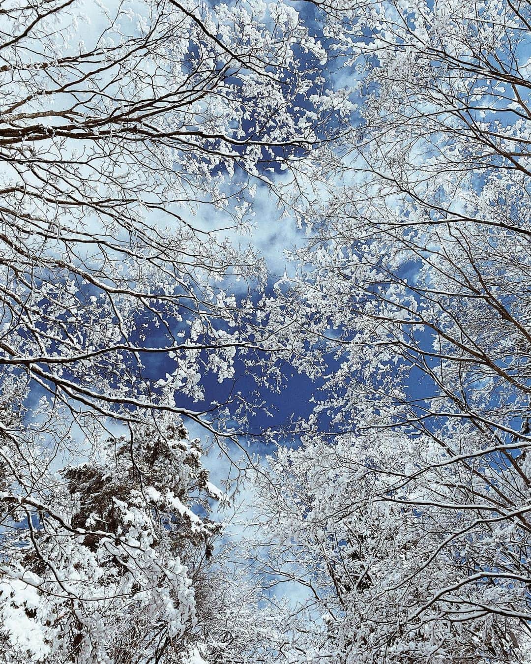 三浦大地さんのインスタグラム写真 - (三浦大地Instagram)「朝から自然が創り出す世界に浸る。」3月15日 20時50分 - daichi_1127