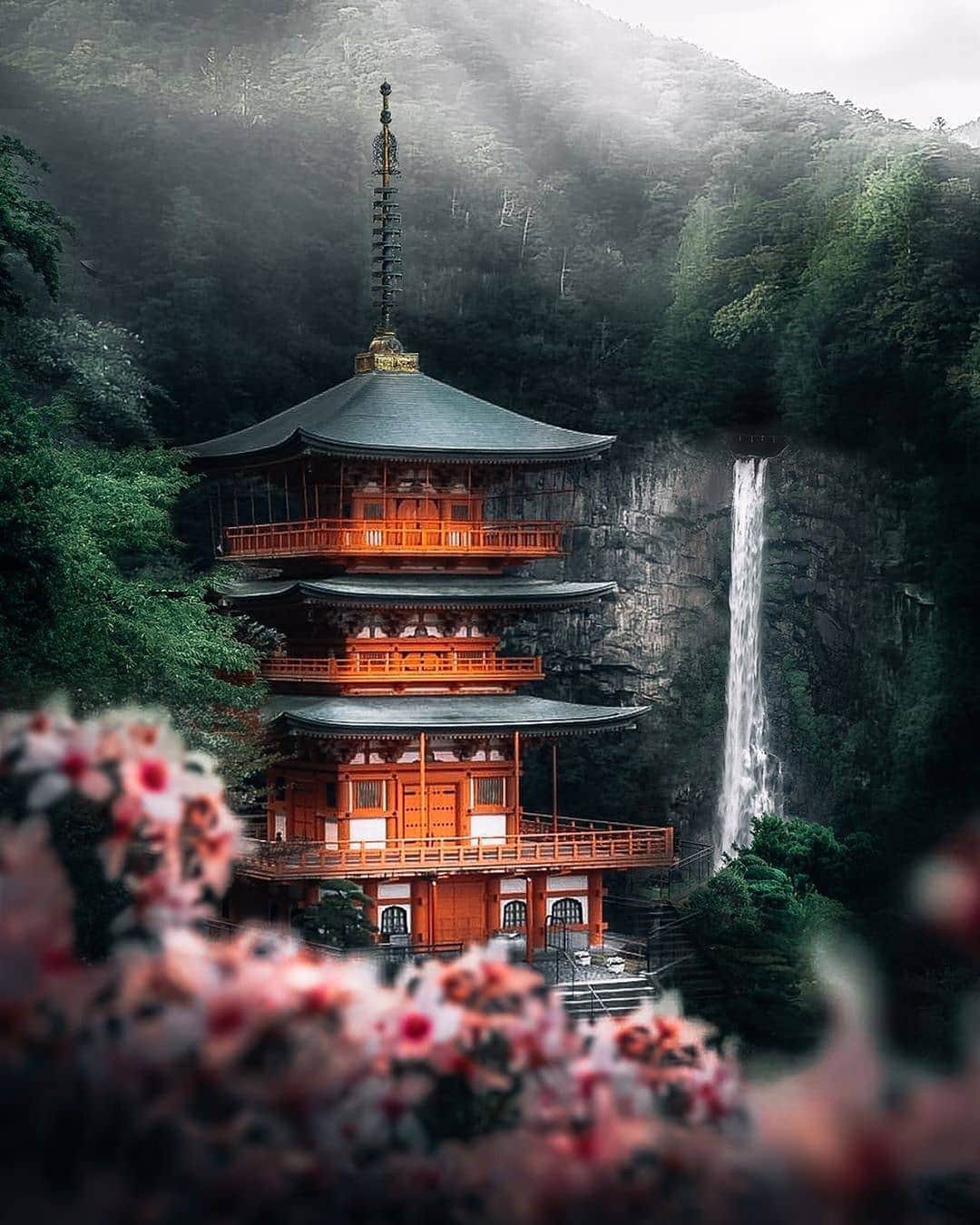 BEAUTIFUL DESTINATIONSさんのインスタグラム写真 - (BEAUTIFUL DESTINATIONSInstagram)「Cherry blossoms blooming around Nachi Falls, Japan 🌸 ⛩  What is your favorite season and time of year? Tag a friend who would love this beautiful photograph! (📸: @pedro_mrnunes📍: Nachi Falls, Japan)」3月15日 21時35分 - beautifuldestinations