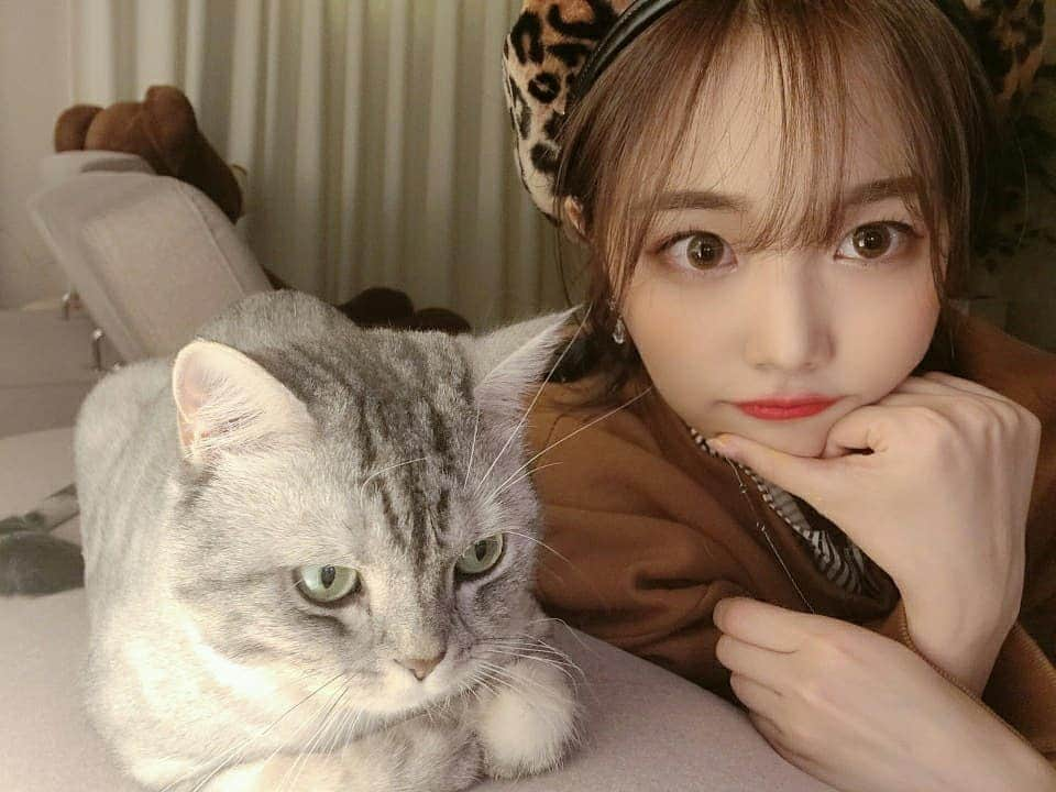 パク・ヘソンさんのインスタグラム写真 - (パク・ヘソンInstagram)「셀카찍는데 방해하길래 같이 찍음 😻💕 #로즈 #냥스타그램 #캣스타그램 #셀스타그램」3月15日 21時38分 - hyesunee