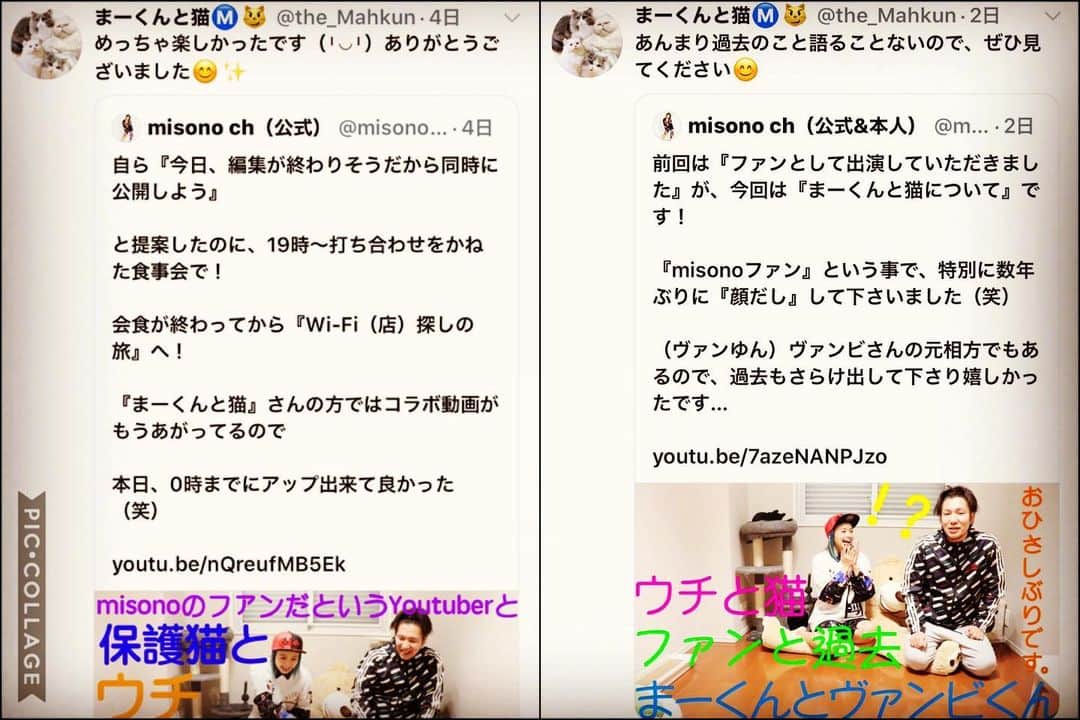 misoNosukeさんのインスタグラム写真 - (misoNosukeInstagram)「. . これまでも『ファンの夢を叶える企画』は、色々とやってきましたが！ . misonoのYouTubeにて『YouTuberさんの夢を叶えた動画』は、初めてです！ . まーくんの為だけに特別に、day after tomorrowのアルバム曲を歌いました… . レコーディング以来、初めて歌ったからヘタだったけど…まっもう二度とナイでしょう（笑） . @mahkun0114 . . #misono #YouTube #まーくんと猫 #YouTuber #保護猫」3月15日 21時44分 - misono_koda_official