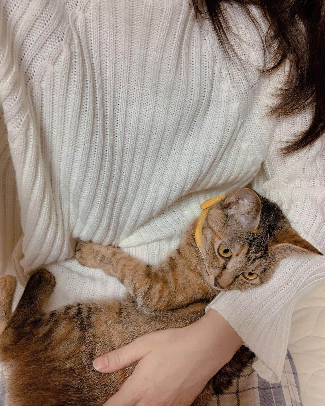 のインスタグラム：「. . 久しぶりの #17Live 配信 ありがとうございました🌸 大変なときですが 少しでも楽しい時間を共有できて よかったです✨ また配信します🍛 . . #ライブ配信 #17live #配信」