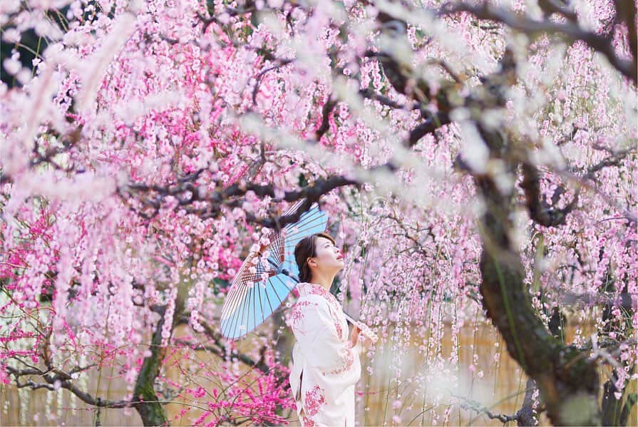 Najiiのインスタグラム：「Back to the start」
