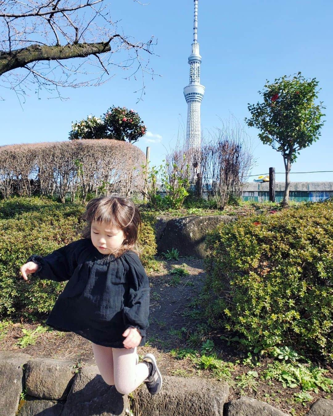 坂本美雨さんのインスタグラム写真 - (坂本美雨Instagram)「初めて外泊したなまこ。 わたしの遠征などで数日間離れることはちょくちょくあるけど、一人で泊まりにいくのははじめて。  8歳の面倒見のいいお姉ちゃんのいる、 わたしのマネージャーのおうちへ。 まるっと一日遊びに行って、 夜はスーパー銭湯で限界まで遊んで、 お腹いっぱい食べて、 コテっと熟睡したそう。。 . 大きくなりました、、、 . #ママのマの字もなく #かぁちゃん泣いた #いろんな意味で #今日のなまこちゃん #懐の深いお姉ちゃん #ほんとにありがとう  #4歳7ヶ月」3月15日 23時57分 - miu_sakamoto