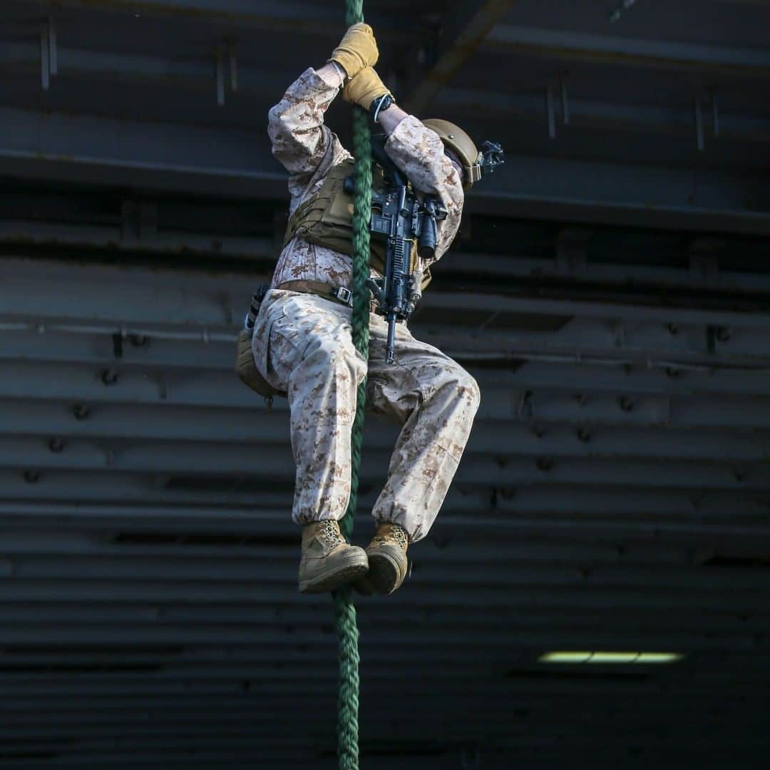 アメリカ海兵隊さんのインスタグラム写真 - (アメリカ海兵隊Instagram)「Hold Tight  A Marine fast-ropes during training aboard the @usnavy’s amphibious assault ship #USSBataan while deployed to U.S. 5th Fleet's area of operations, supporting naval operations to ensure maritime stability and security in the Central Region. (U.S. Marine Corps photo by Cpl. Gary Jayne III)  #BlueGreenTeam #Deployment #GatorNavy #LHD5 #Marines #Military #USMC #USNavy」3月16日 0時07分 - marines