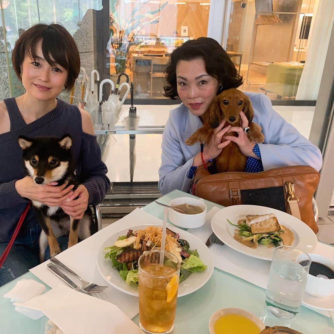 岩瀬玲のグルメインスタ