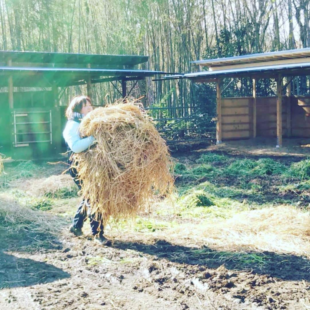 柏崎桃子さんのインスタグラム写真 - (柏崎桃子Instagram)「3/15の記録  今日はスペシャルオリンピックスのお手伝いでした。 たくさん歩いておしゃべりして最後は餌やり。 働いた働いた😊  #ダイエット #diet #スペシャルオリンピックス  #specialolympics  #馬 #horse  #乗馬 #景色 #ご飯 #sss #ストレッチ」3月16日 1時27分 - momoko_kashiwazaki