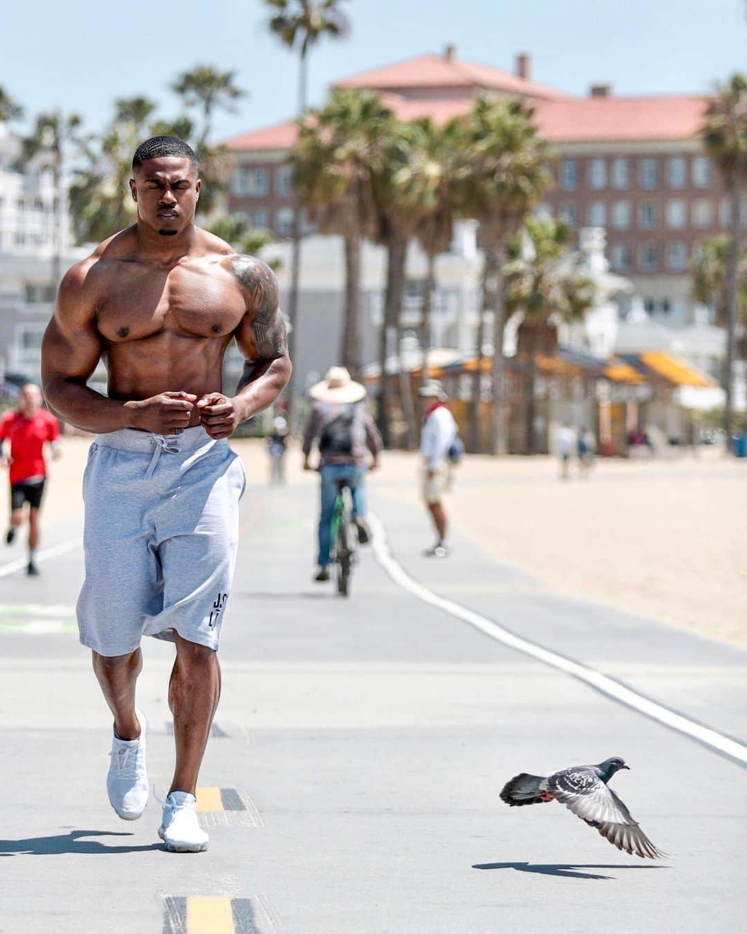 Simeon Pandaさんのインスタグラム写真 - (Simeon PandaInstagram)「Why did the pigeon cross the road? ⤵️🤷🏾‍♂️😅⁣ ⁣ I want to help you train! Download my routines at SIMEONPANDA.COM or visit my YouTube Channel: @simeonpanda for FREE diet tips and training routines⁣ ⁣ Follow @innosupps ⚡️ for the supplements I use👌🏾」3月16日 1時36分 - simeonpanda