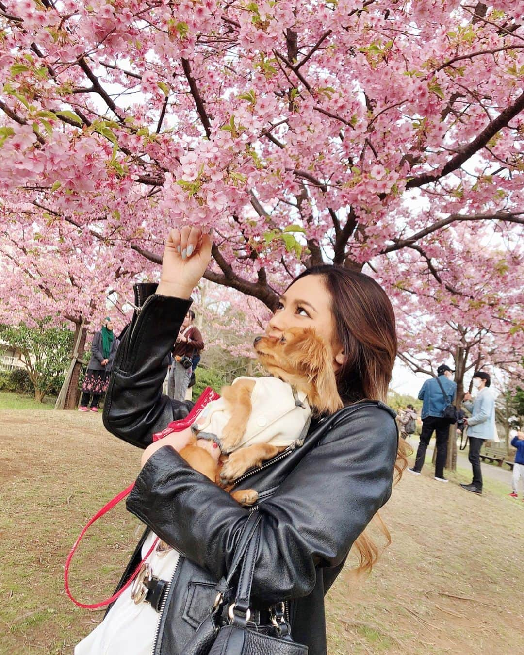 椿彩加のインスタグラム