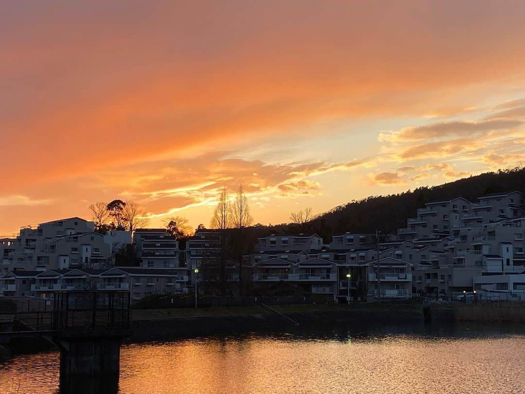 西川忠志さんのインスタグラム写真 - (西川忠志Instagram)「昨日の夕暮れの空  昨日は 祇園花月からの生配信が終わり 帰宅の途に。  自宅近くのバス停で下車した時に 目の前に広がる景色です。  毎日見ている景色ですが ほんとに時折 息を呑むと言っては大袈裟ですが 思わず見入ってしまう夕暮れの空があります。 自然は素晴らしい！  写真は全く加工しておりませんよ😊 なかなか写真に撮ると 実景とは少しは異なりますが それでも見入る空色でした。  感謝  #夕暮れ　#夕暮れの空　#自然　#素晴らしい　#帰宅　#空色　 #バス停　#吉本新喜劇　#西川忠志　#ありがとうございます #ありがとう　#感謝」3月16日 12時42分 - nishikawa_tada