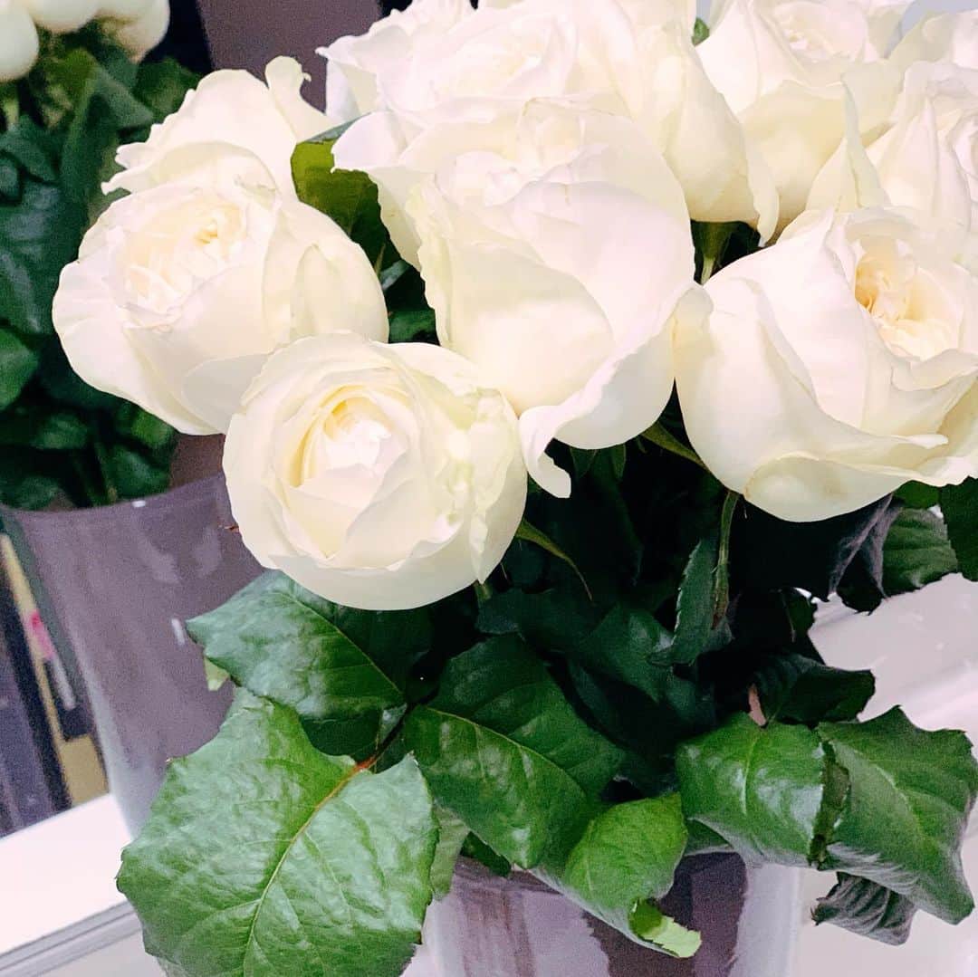 三浦加納子さんのインスタグラム写真 - (三浦加納子Instagram)「白いお花を頂きました😊 １つは私に、１つはうちの🐱に✨ ありがとう✨」3月16日 12時54分 - kanakomiura